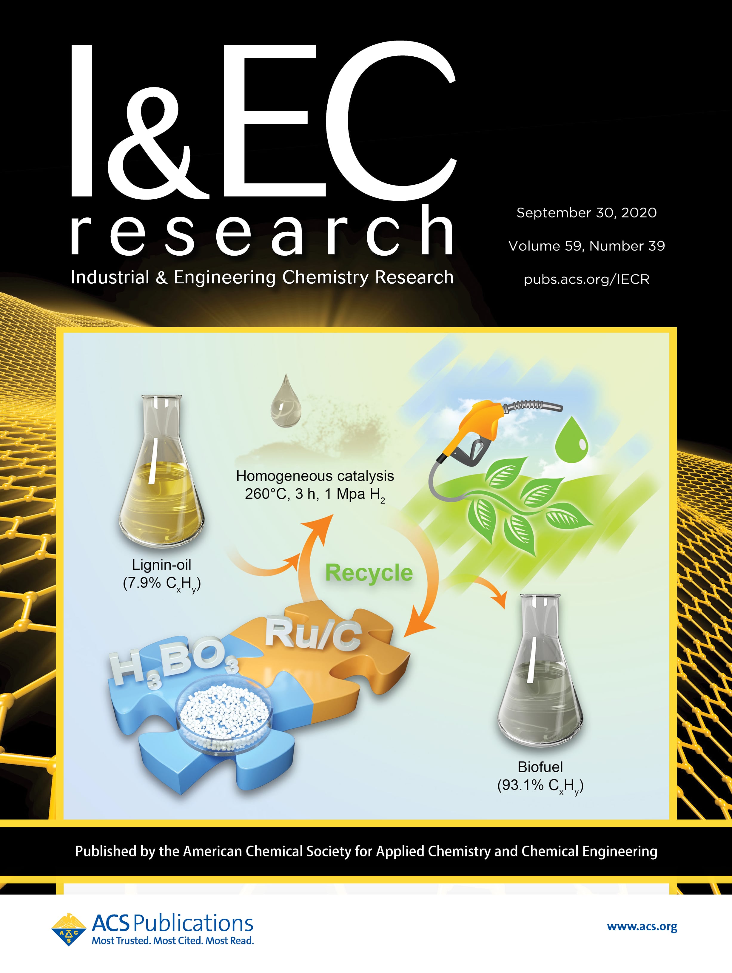 Boric Acid as a Novel Homogeneous Catalyst Coupled with Ru/C for Hydrodeoxygenation of Phenolic Compounds and Raw Lignin Oil