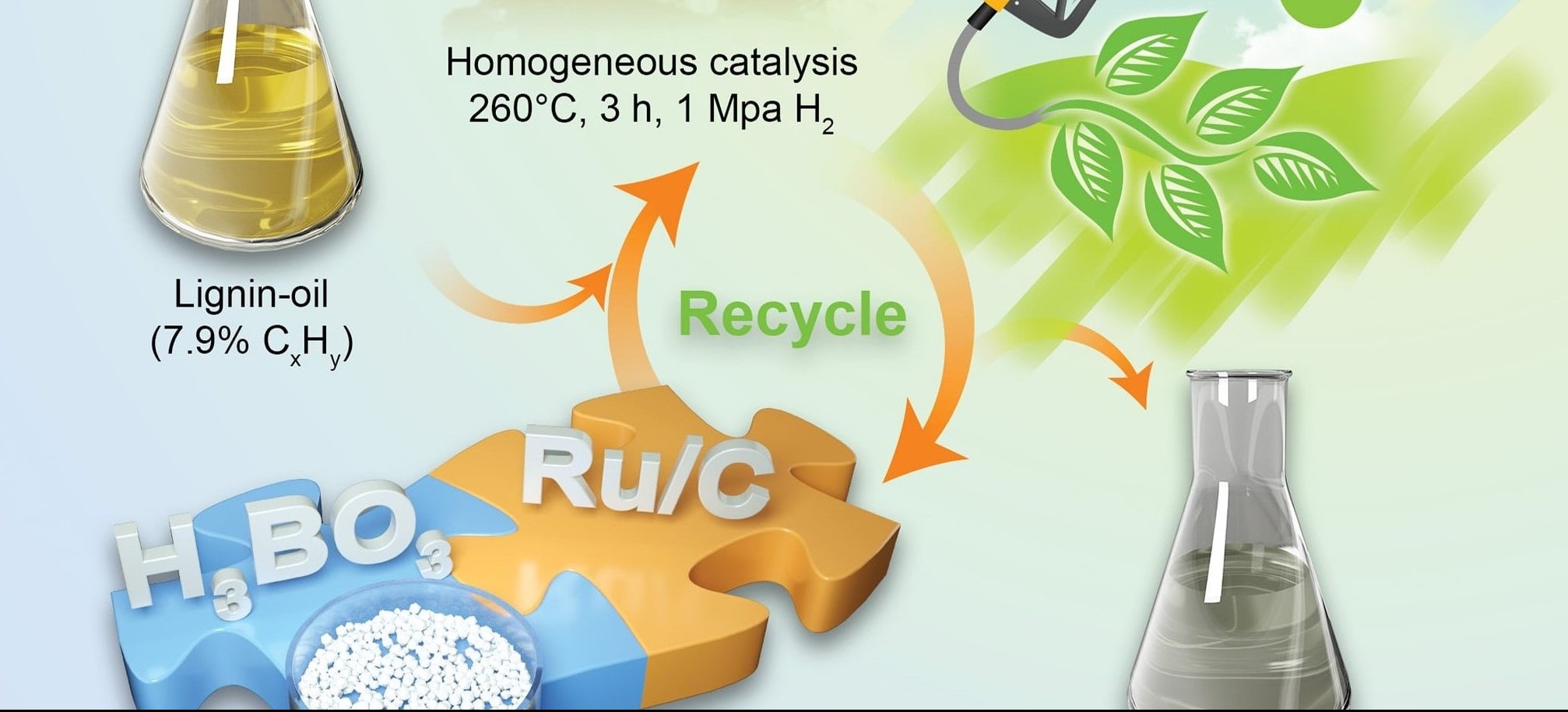 LetPub Journal Cover Art Design - Boric Acid as a Novel Homogeneous Catalyst Coupled with Ru/C for Hydrodeoxygenation of Phenolic Compounds and Raw Lignin Oil