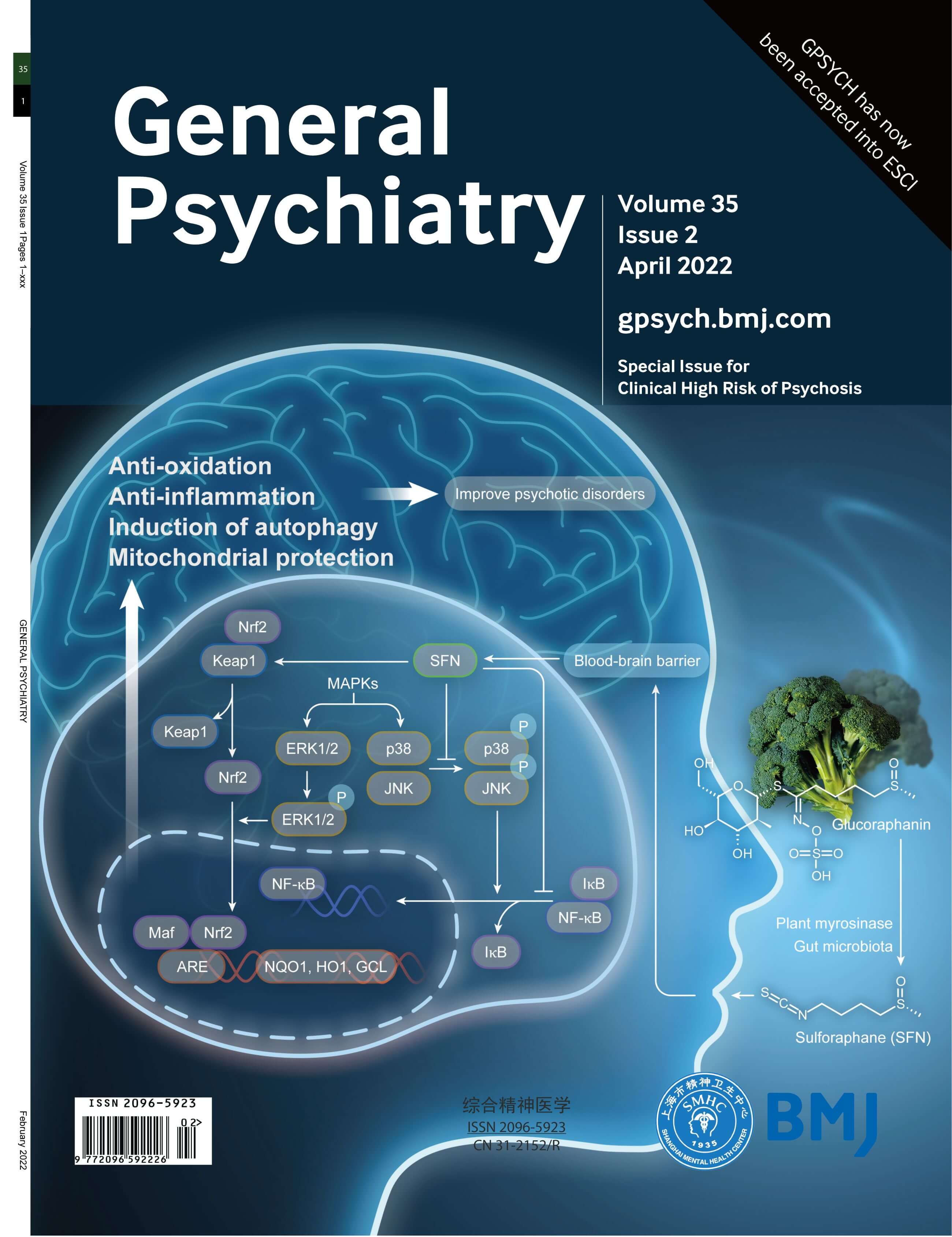 LetPub Journal Cover Art, General Psychiatry