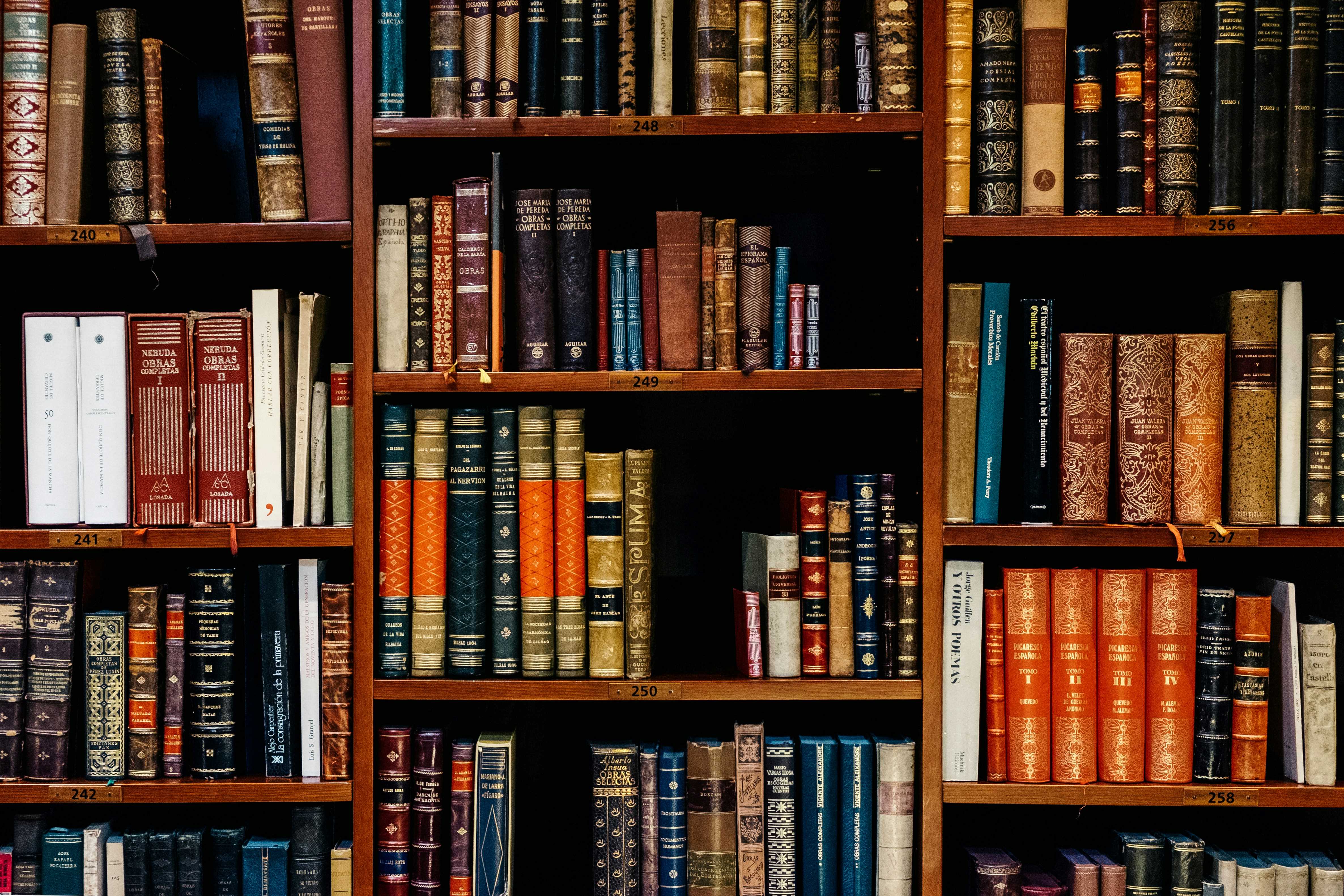 The Importance of Libraries as an Academic